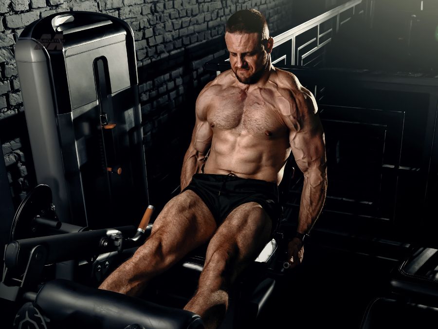 push pull legs routine