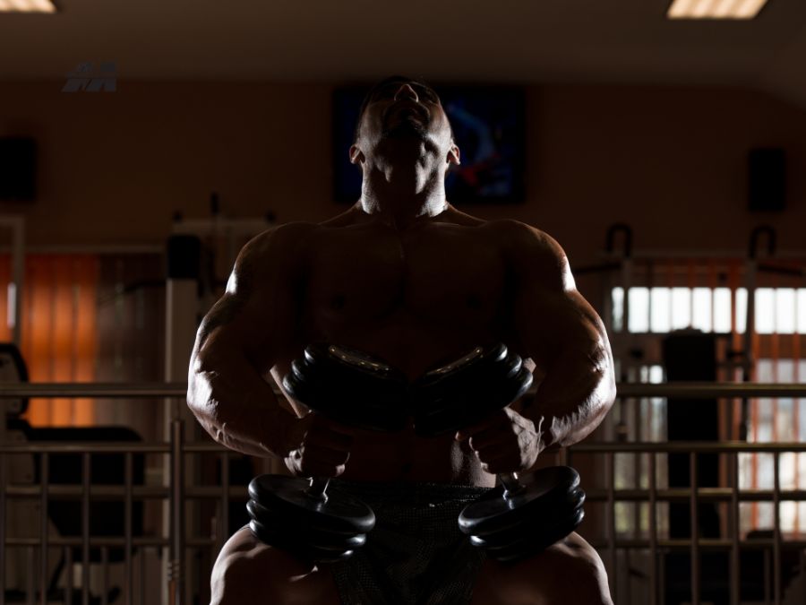 How Many Calories Should I Eat to Bulk