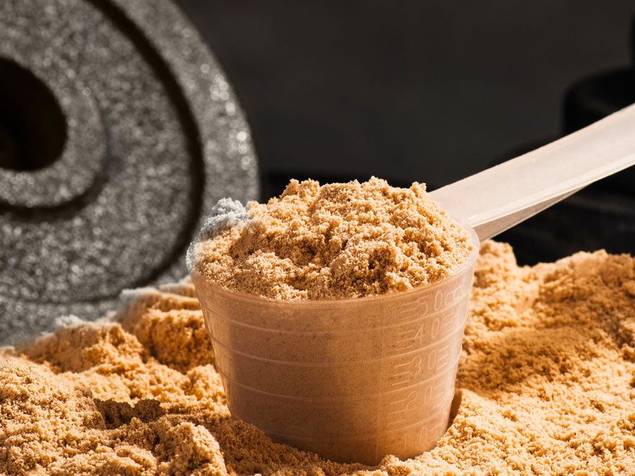 Hey MuscleTech! Why don’t you have a plant-based protein powder?
