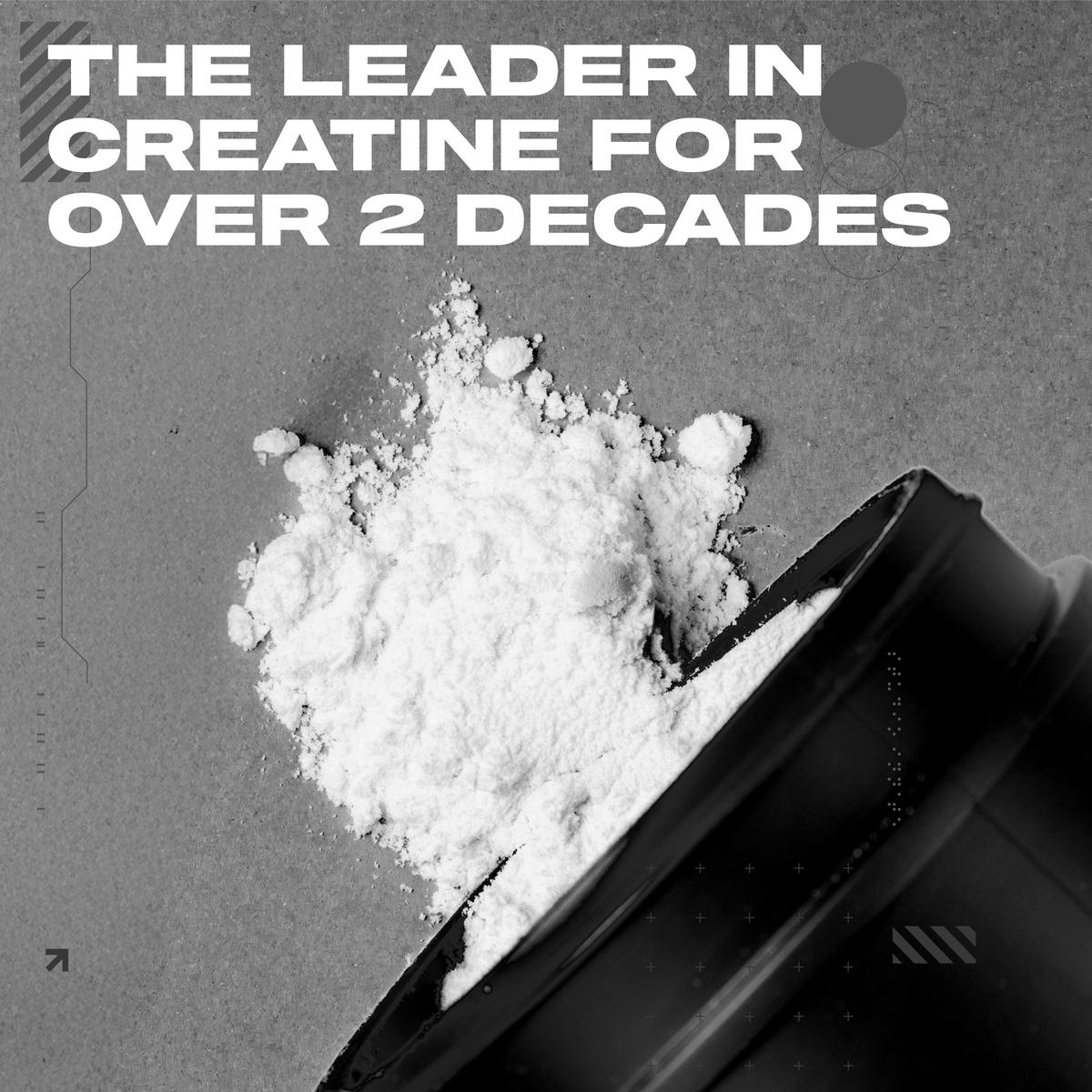 Close-up image of creatine powder spilled from a container with overlaid text reading 'The leader in creatine for over 2 decades.'