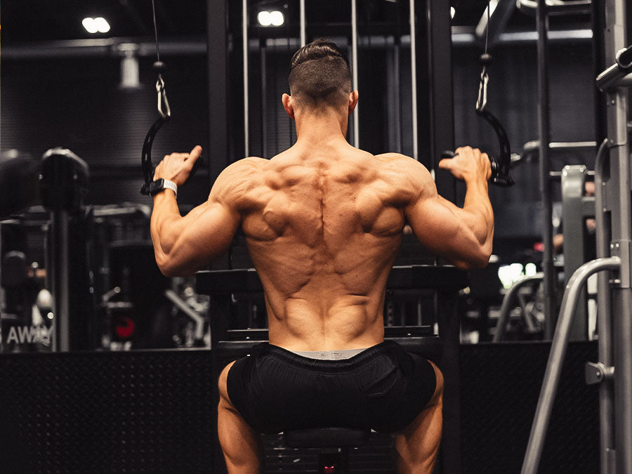 How to Get a Thicker Back? - 3 Workouts for the Trick · MuscleTech