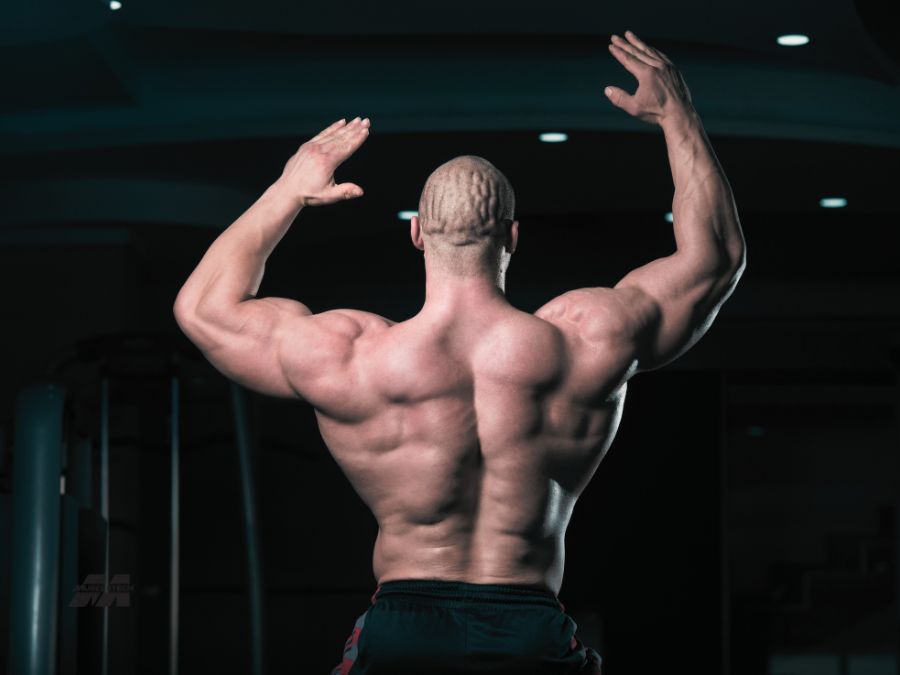 Creatine and Clear Muscle