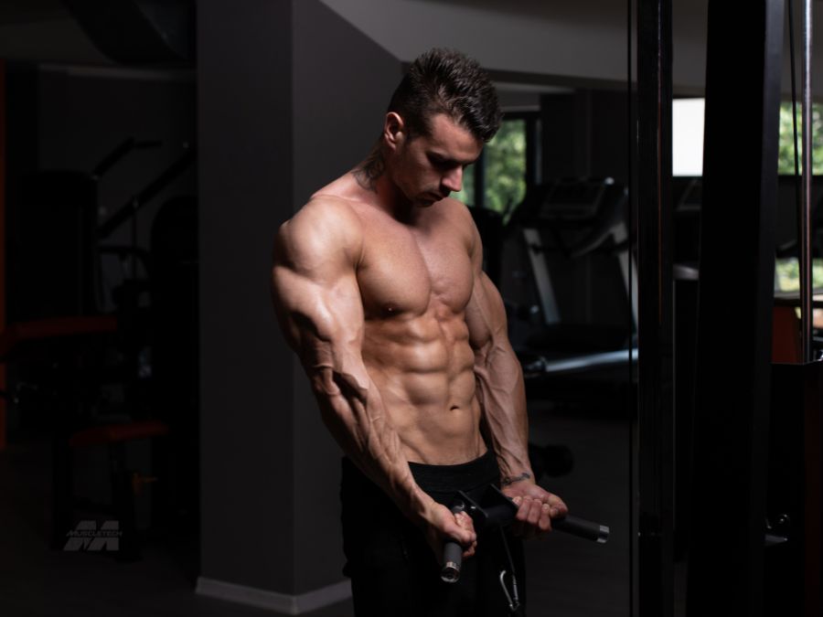 EAA Supplement Benefits