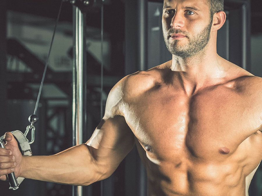 The Best Chest Exercises For Men · MuscleTech