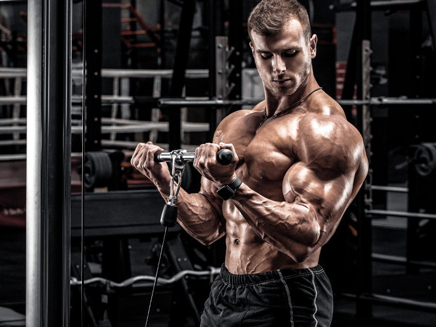 20 Tips for 20-Inch Arms! Tried & Tested · MuscleTech