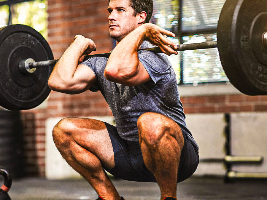 Compound vs. Isolation Training · MuscleTech