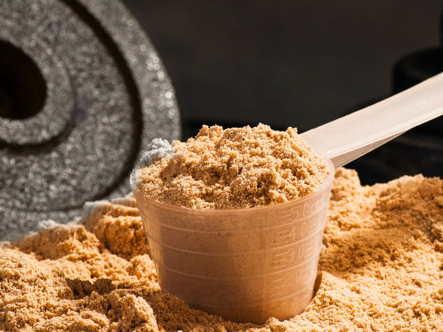 Hey MuscleTech! Why don’t you have a plant-based protein powder?