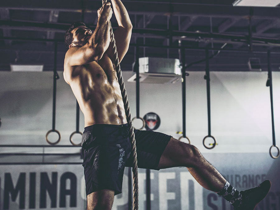 what does l carnitine do