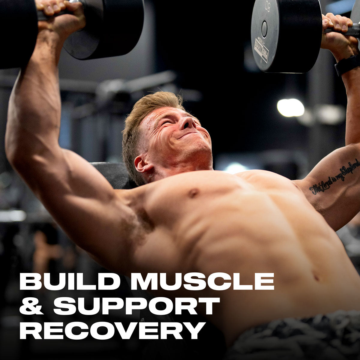 Build Muscle & Support Recovery