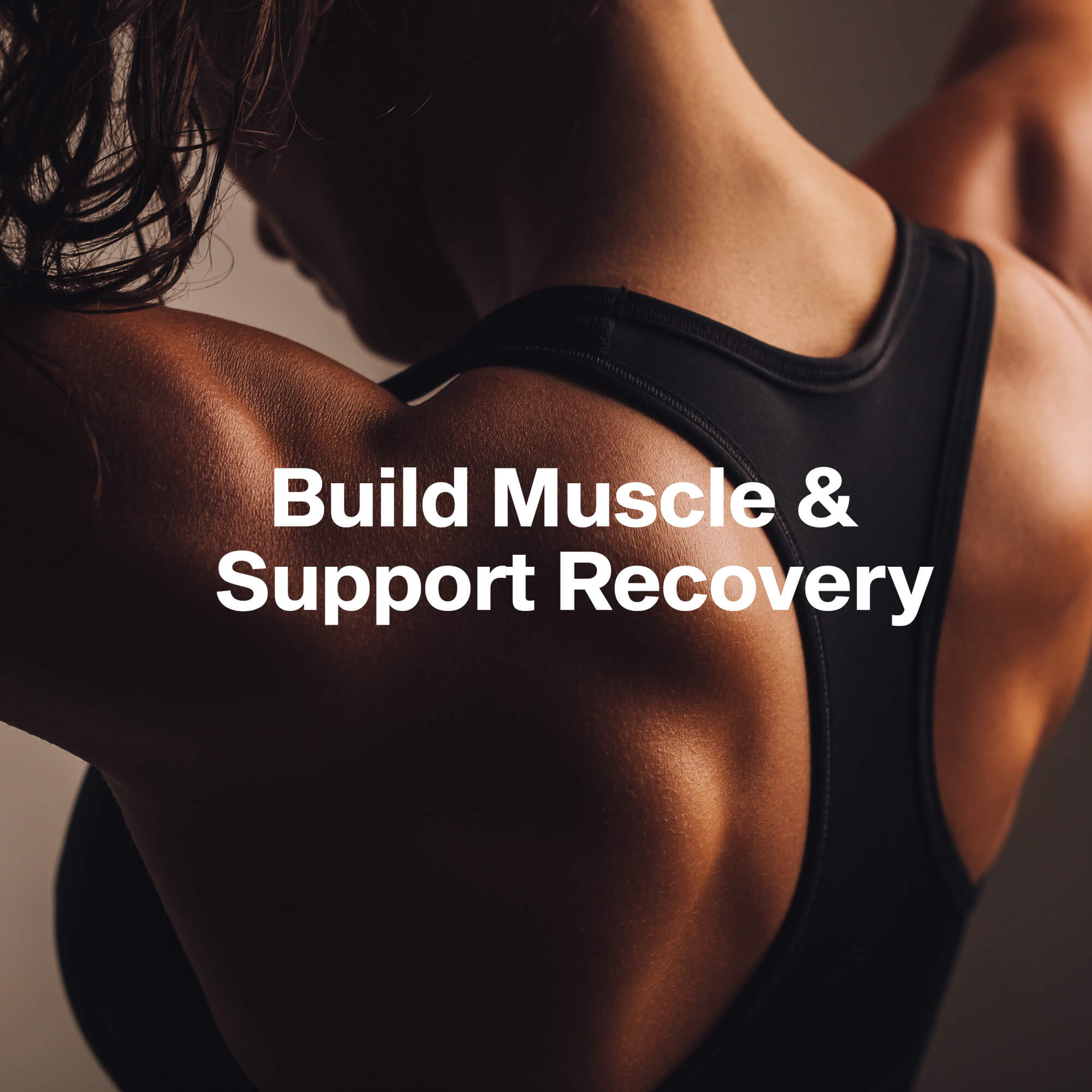 Nitro Tech 100% Whey Gold