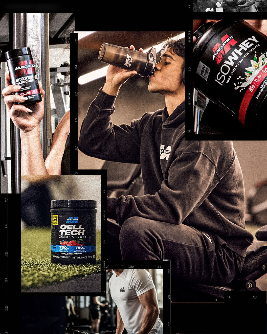 Describes the appearance of the image