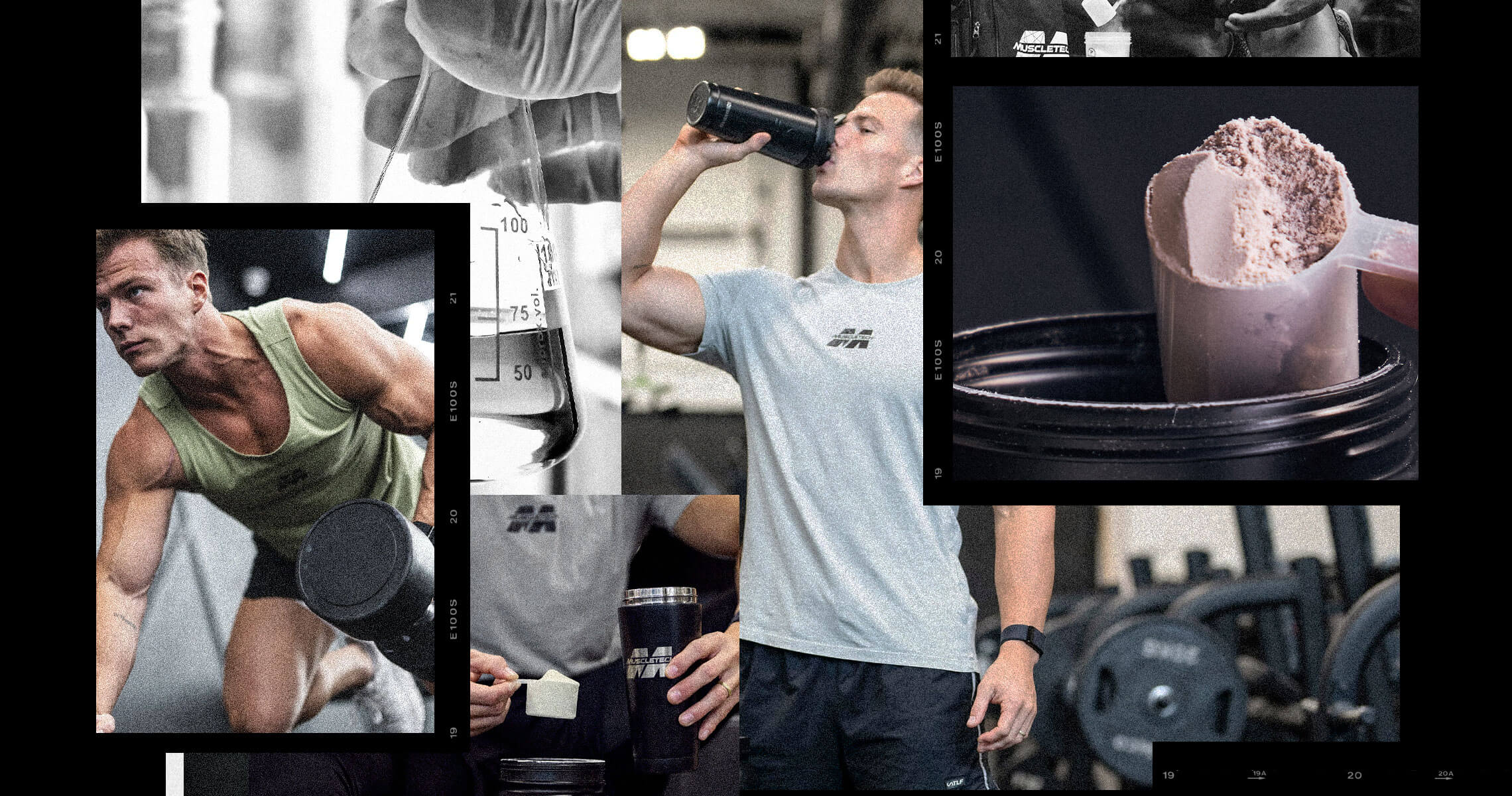 Describes the appearance of the image