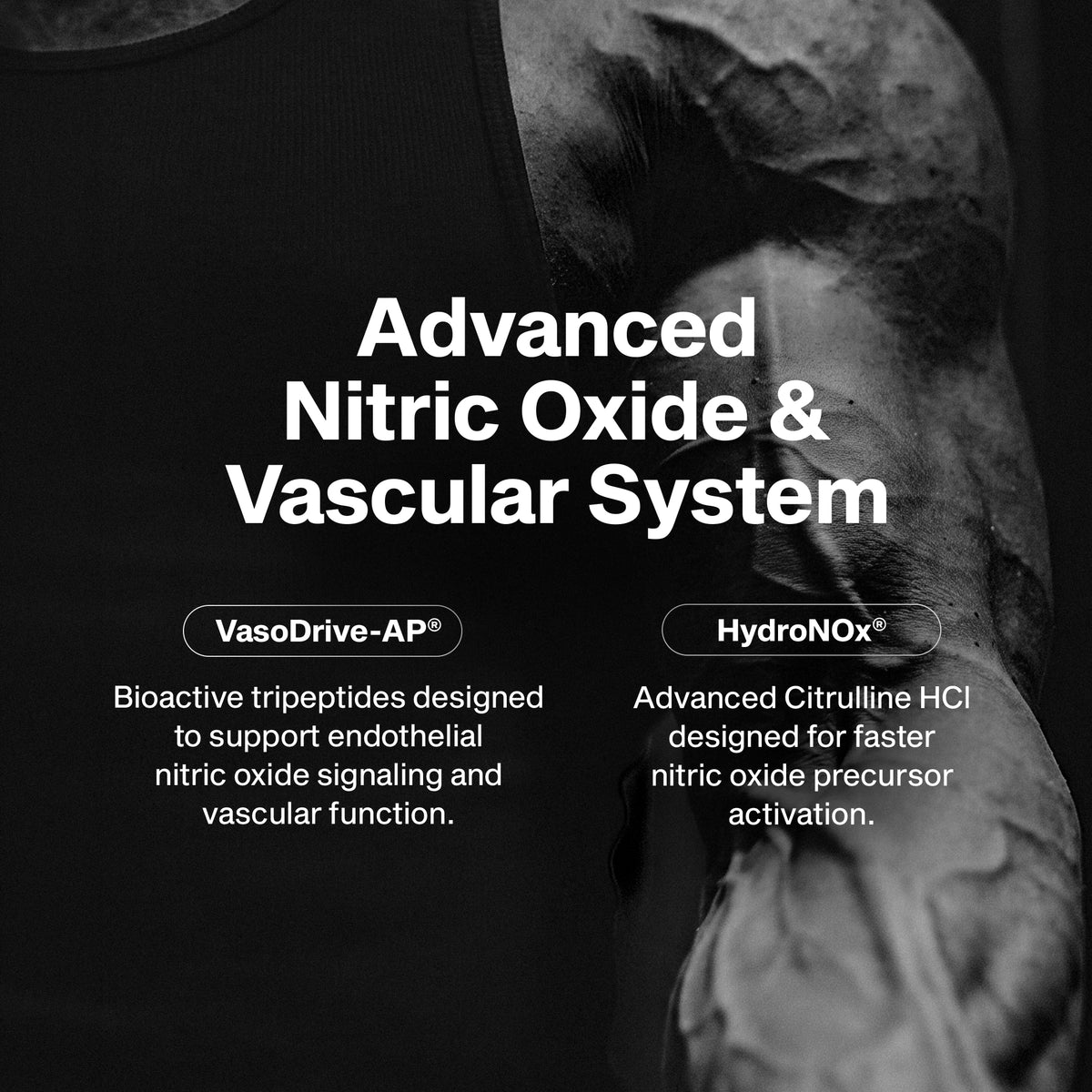 Nitric Oxide Peptide 160